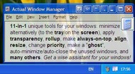 Actual Window Manager screenshot